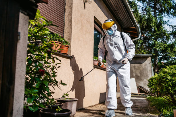 Best Pest Control for Businesses  in East Patchogue, NY
