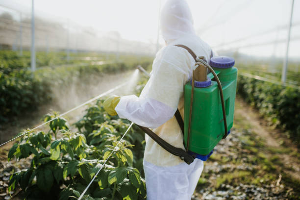 Best Pest Control Near Me in East Patchogue, NY